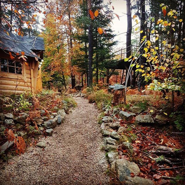 Bed and Breakfast La Roche Aux Fees Lapte Екстер'єр фото